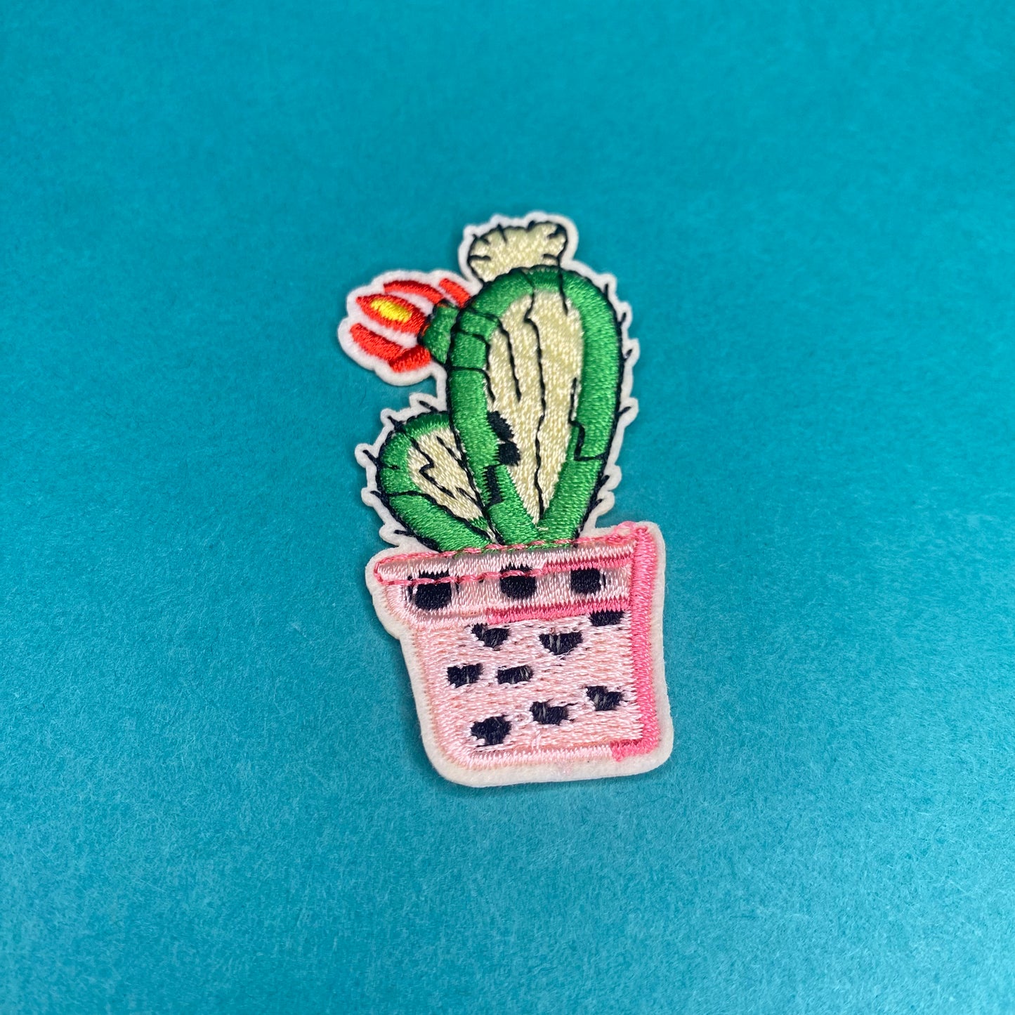 Cactus