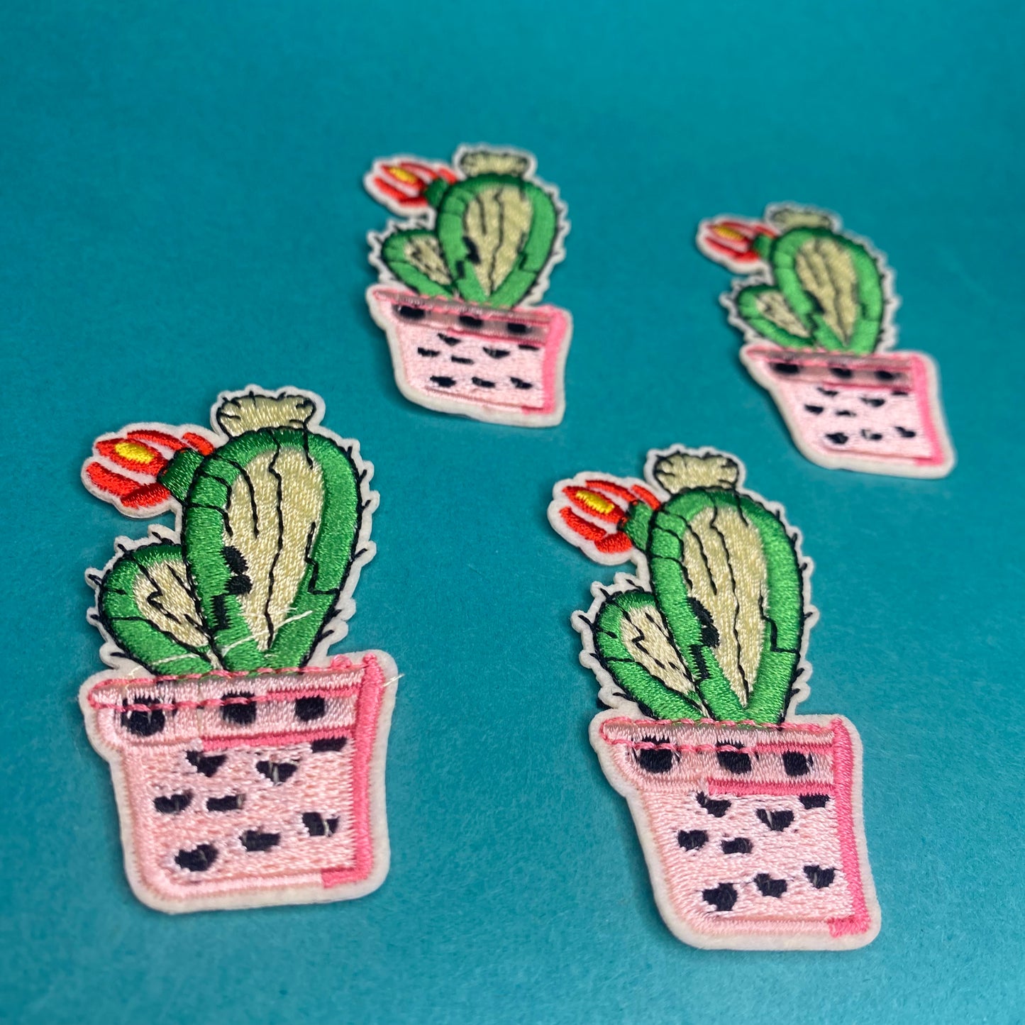 Cactus